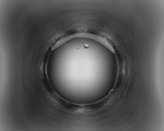 X0000086720504200704201629