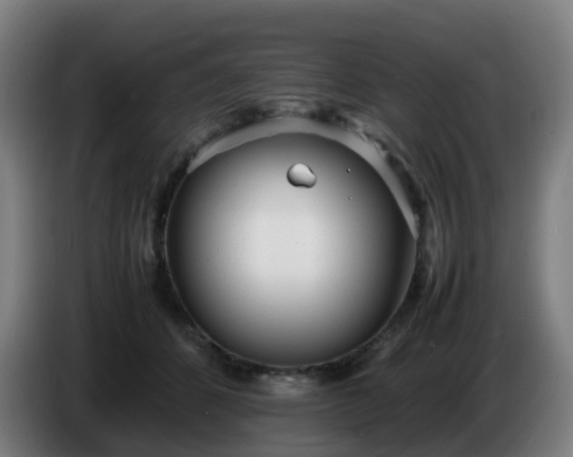 X0000086720512200704201629