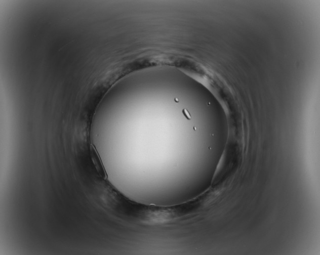 X0000086720513200704201629