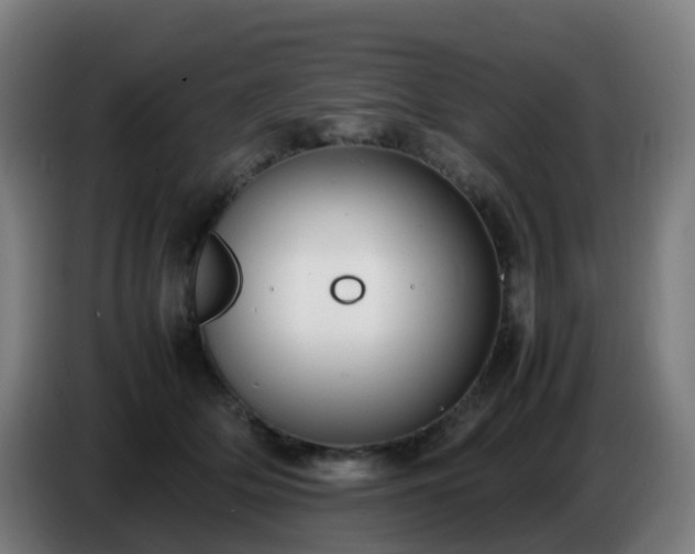 X0000086720514200704201629