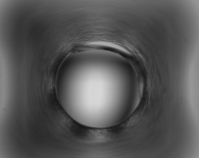 X0000086720517200704201629