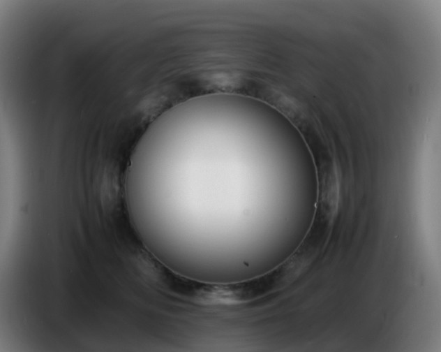 X0000086720518200704201629
