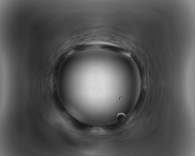X0000086720519200704201629