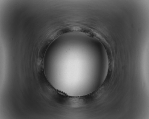 X0000086720521200704201629