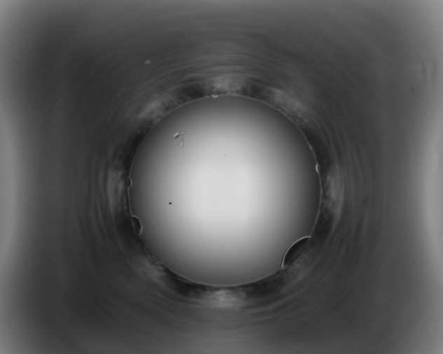 X0000086720522200704201629