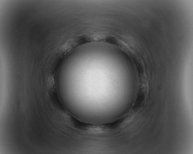 X0000086720523200704201629