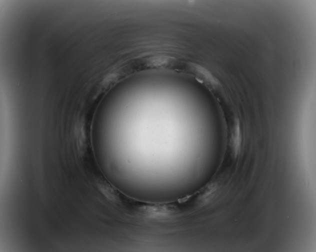 X0000086720524200704201629