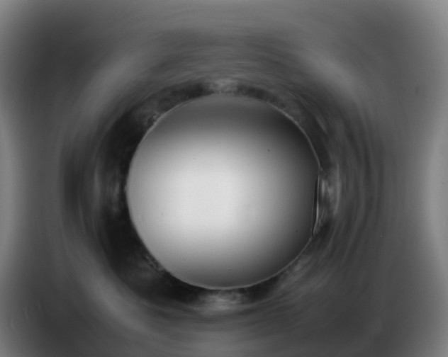 X0000086720525200704201629