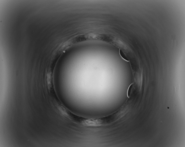 X0000086720526200704201629
