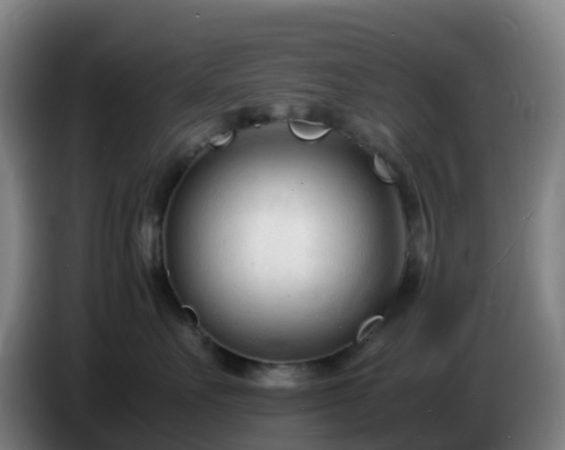 X0000086720527200704201629