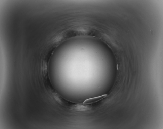 X0000086720528200704201629