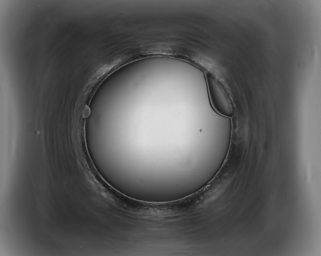 X0000086720529200704201628