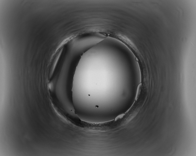 X0000086720530200704201628