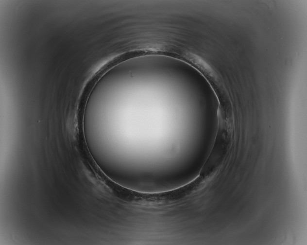X0000086720532200704201628