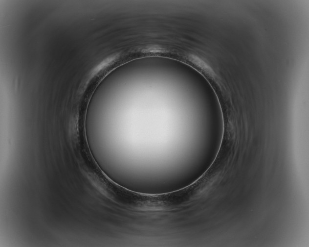 X0000086720535200704201628