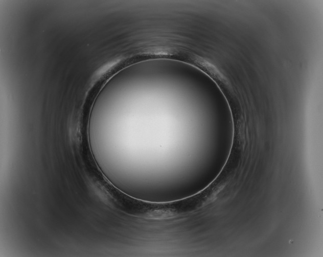 X0000086720536200704201628