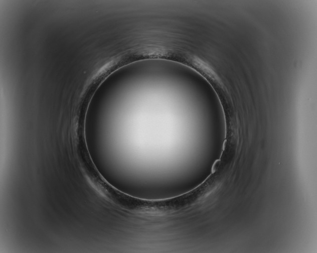 X0000086720538200704201628