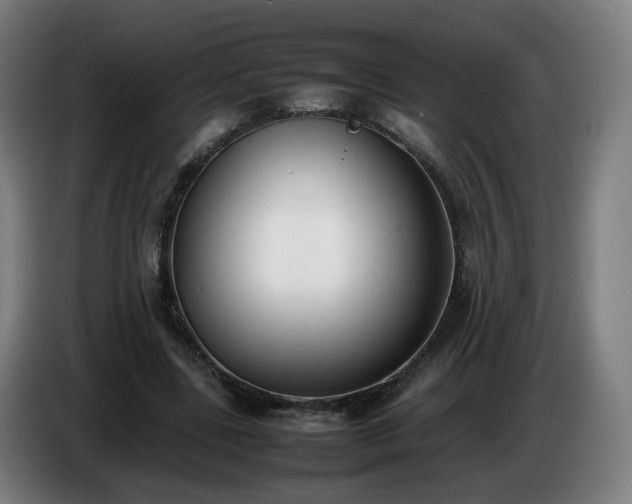 X0000086720539200704201628