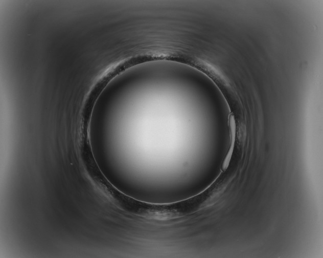 X0000086720540200704201628