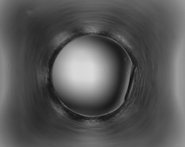X0000086720544200704201628