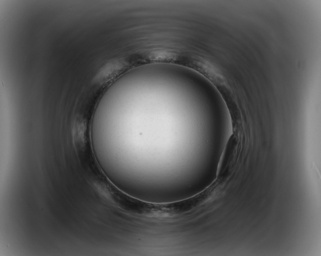 X0000086720550200704201628