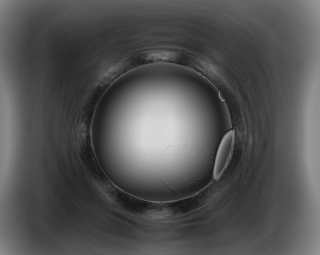 X0000086720551200704201628