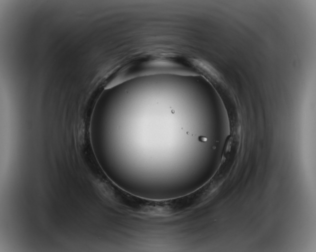 X0000086720552200704201628