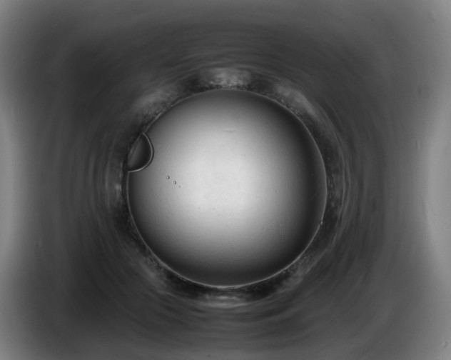 X0000086720553200704201628