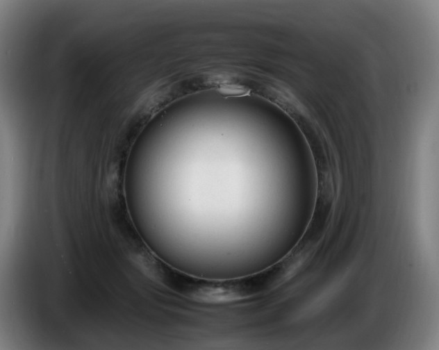 X0000086720557200704201629