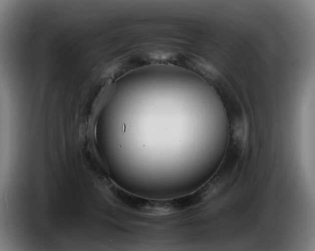 X0000086720559200704201629