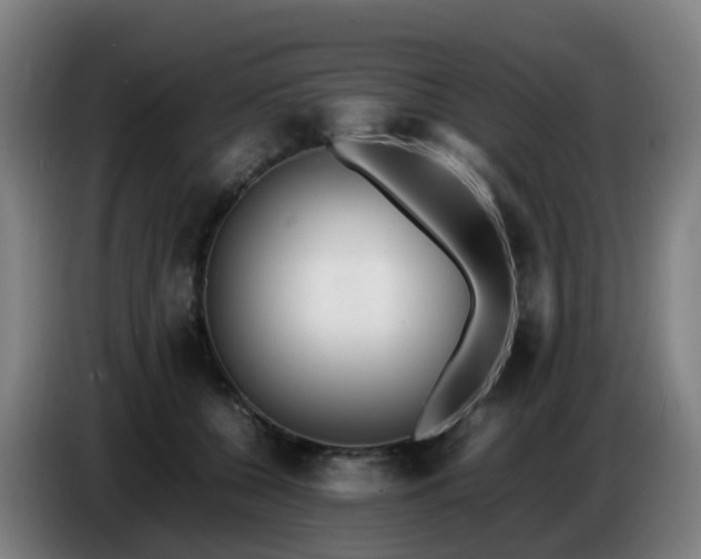 X0000086720560200704201629