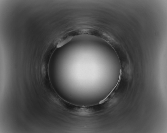 X0000086720562200704201629