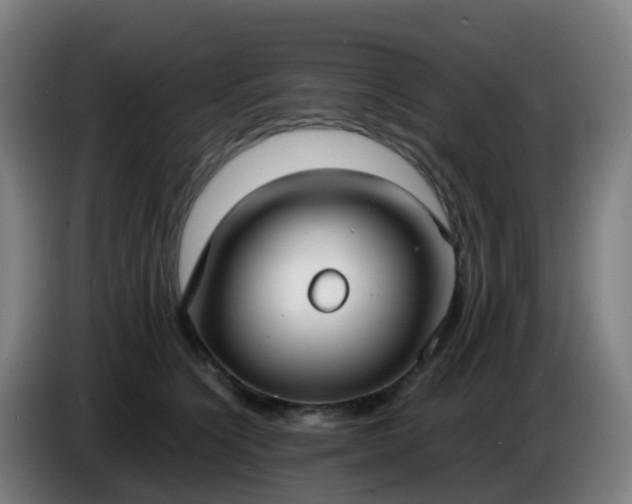 X0000086720564200704201629