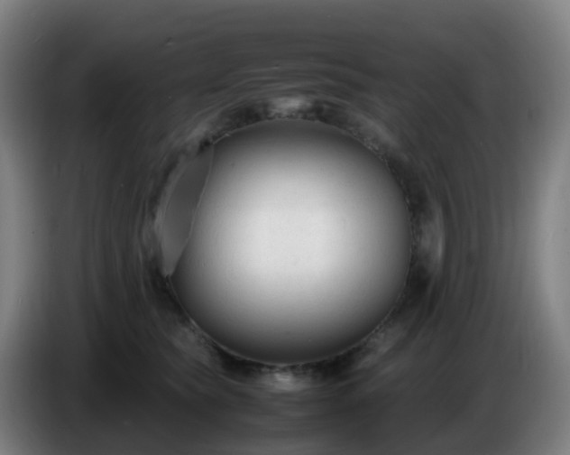 X0000086720565200704201629
