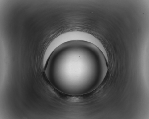 X0000086720566200704201629
