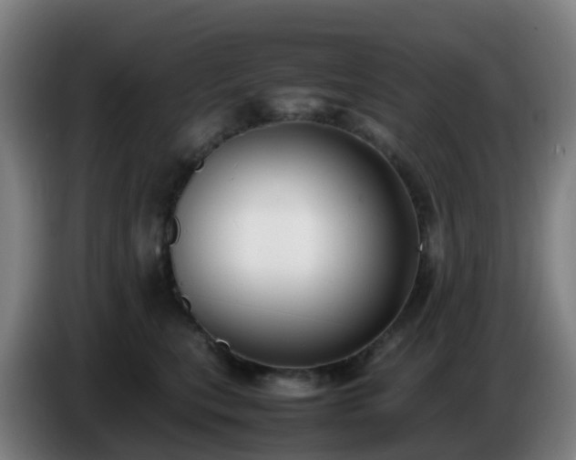 X0000086720567200704201629