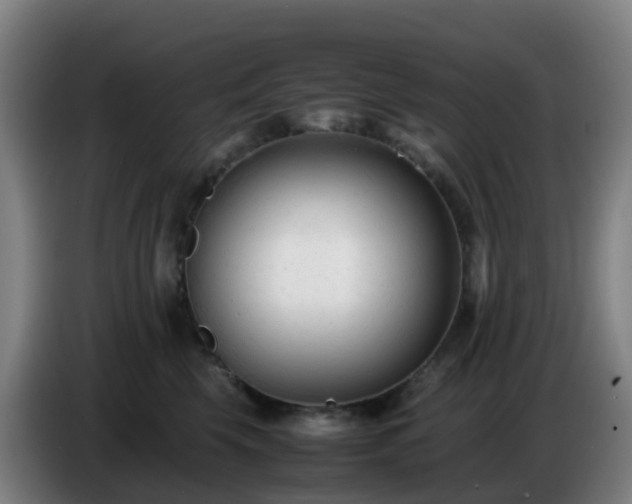 X0000086720569200704201629
