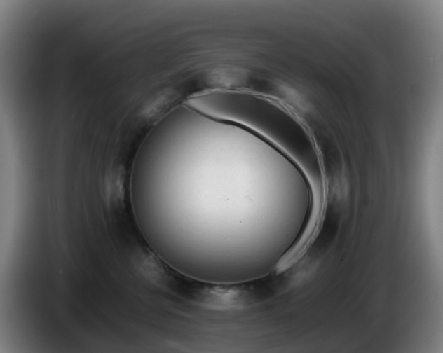 X0000086720570200704201629