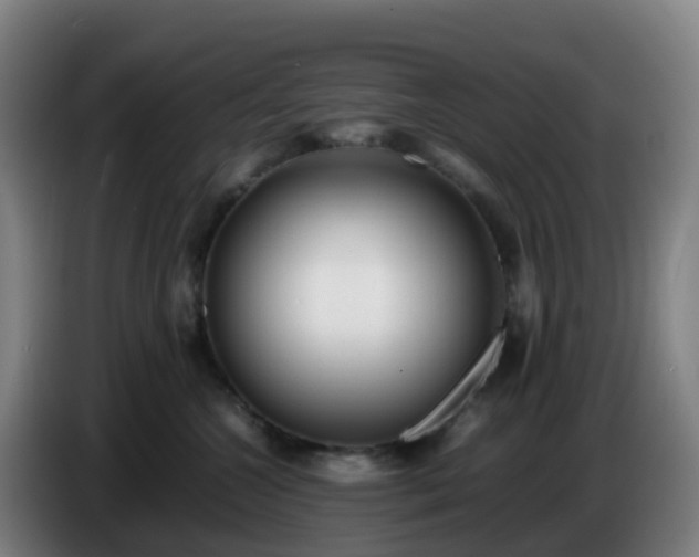 X0000086720572200704201629