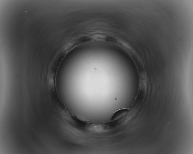 X0000086720573200704201629