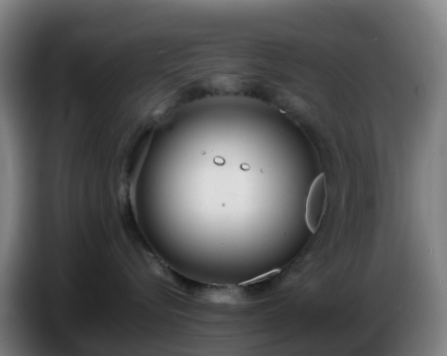 X0000086720576200704201629