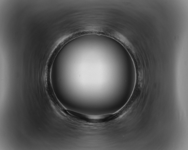 X0000086720580200704201628