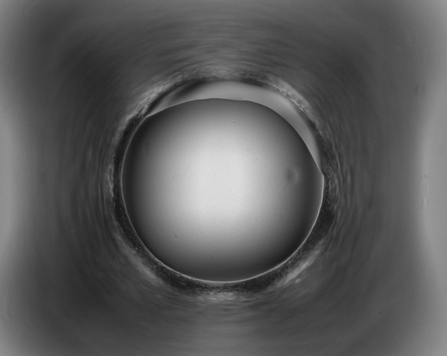 X0000086720581200704201628