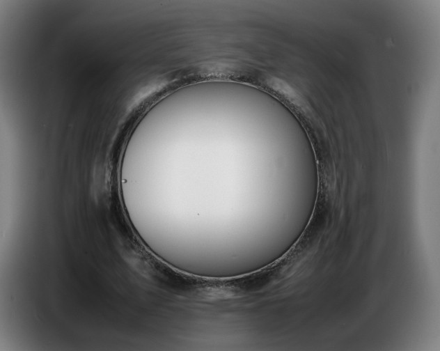 X0000086720583200704201628