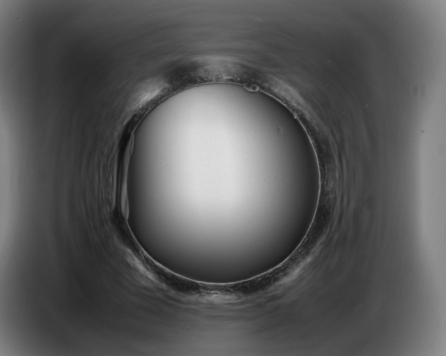 X0000086720585200704201628