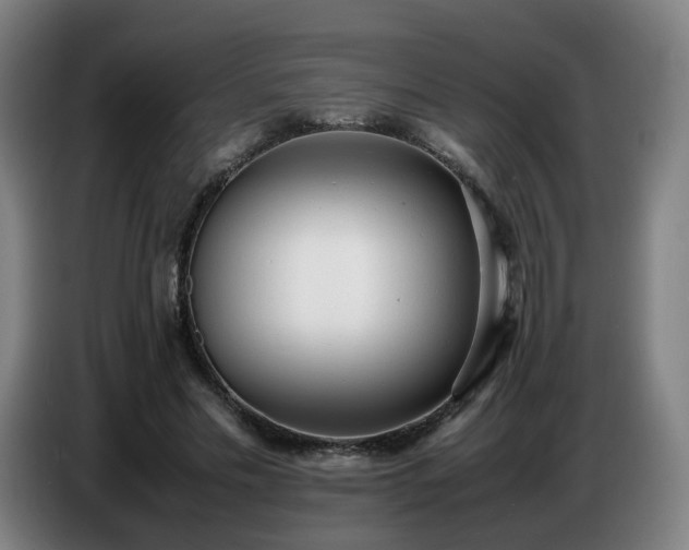 X0000086720589200704201628