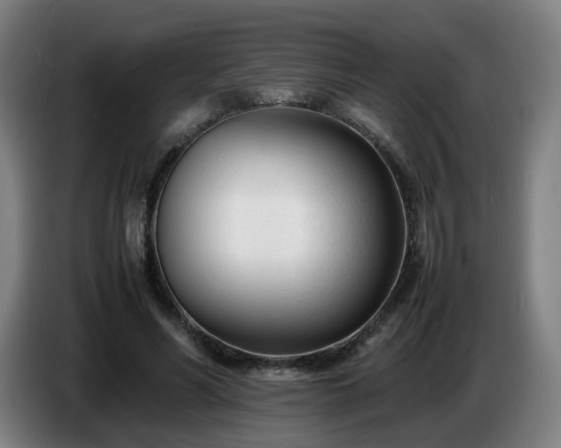 X0000086720590200704201628