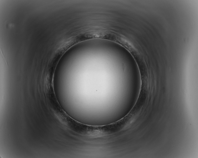 X0000086720594200704201628