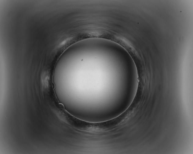 X0000086720596200704201628