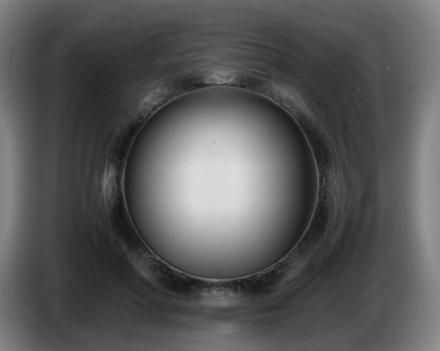 X0000086720598200704201628